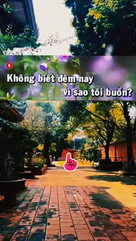 Không biết đêm nay vì sao tôi buồn... #nhactamtrang #sad #nhachaymoingay #nhaclyrics #suhuongtiktok 