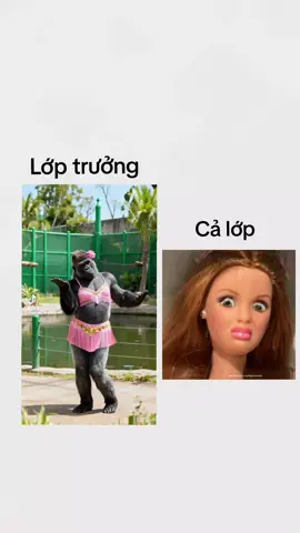 hết cô lại đến trò... #meme #xh #xhtiktok #mongxh