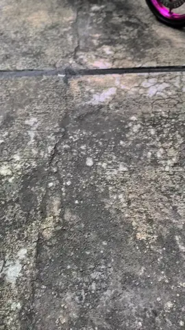 #putratunggal_gank #njmx135 #mxsoloraya #fypppppppppppppp 