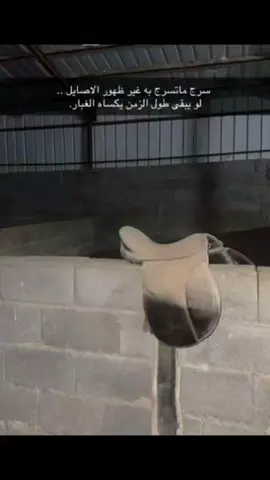 خيل وا خيال #فرسان اليمن مارب نجران السعوديه