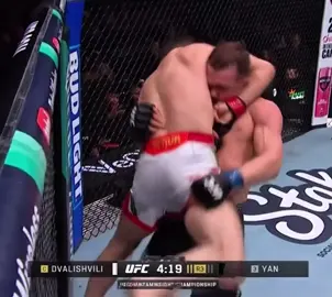 Петр Ян единогласным решением судей победил действующего чемпиона UFC Мераба Двалишвили и отобрал у него титул в легчайшем весе. До этого Двалишвили трижды подряд защитил свой пояс за 2025 год
