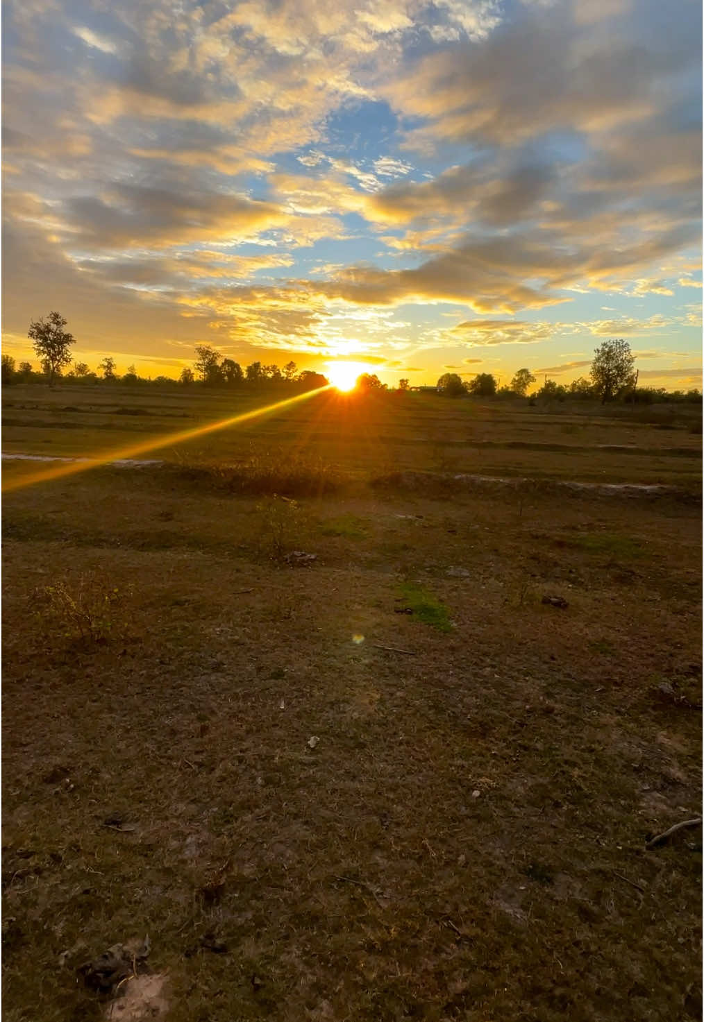 🌅#เธรดเพลง #fyp #ยืมลงสตอรี่ได้ 