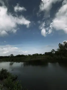 “Sau này, ta chẳng còn tha thiết tìm kiếm một tình yêu nồng nhiệt nửa. thay vào đó, ta chỉ mong tìm được một người khiến ta yên lòng...”  #nhactamtrang#caphay#kuten694#abcxyz#xh 
