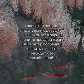 и такое может быть🏯 #type#актив#япония#легенды#рекомендации