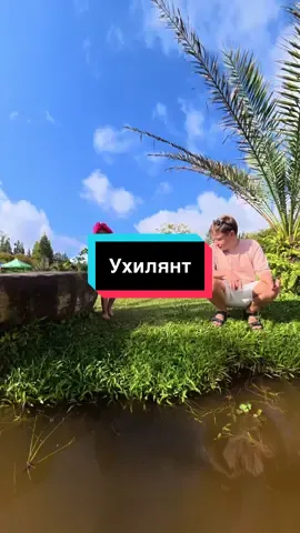 Почему я счастлив что не служу в армии