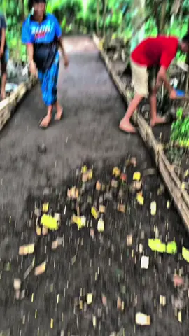 #kerapanmarmut #contengmerah #lmjboys🏴‍☠️ @(𝗔𝗕𝗔𝗔_𝗯𝗶𝗹𝗹) @Jaylanii🐉 @DROS UGAL✌🐊 @DENYY @💃Dilan💃 