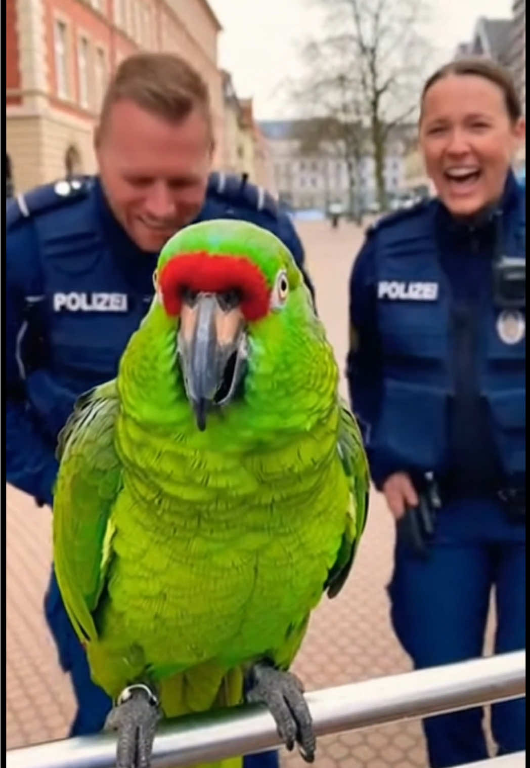Papagei erzählt Witze 😂#papagei #humor #polizei #deutsch #ki 