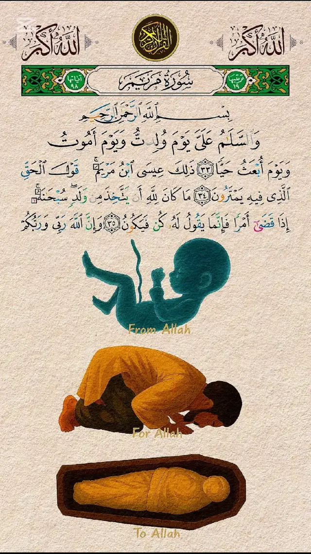 #quran #قران #القرآن_الكريم #قران_كريم #❤️ 