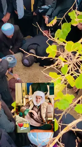 #زراری_هەمی_دونیا👑 #اربيل_العراق_كوردستان 