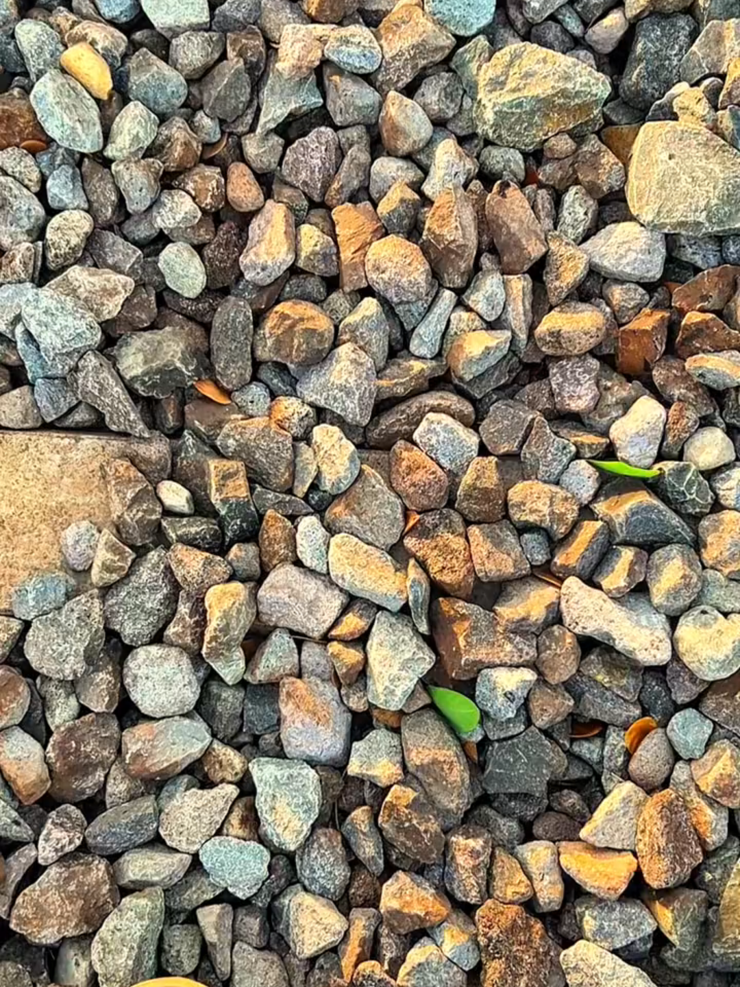 cuma ftg sortiran #iphone13pro #cinematic #aesthetic #langitaesthetic #senjasore #senja