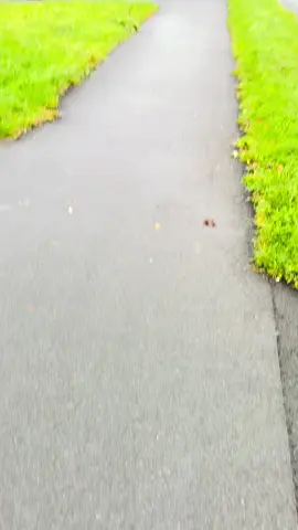 Yo, what’s up bro? How’s it going? Good morning.❄️🫶😍⚜️💈🇬🇧✅