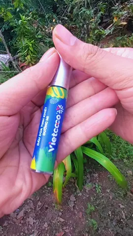 #dauduavietcoco #dauduatinhkhiet #chuotmi 