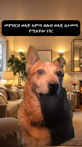 just 4 meme😂🤣🤗😝#arifvibes1 #meme #memelover #schools#ሀበሻ🇪🇹🇪🇹🇪🇹tiktok 