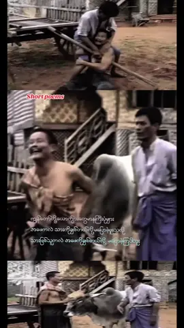 #ဦးမော့စ် #funny #funnyvideos #funnytiktok #myanmarcelebritytiktok 