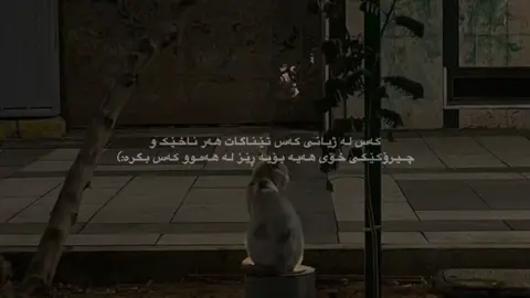 ڕێز لە هەموو کەس بگرە…🌷#الهم_صلي_على_محمد_وأل_محمد #foryou #fypage #foryoupageofficiall #foryou 