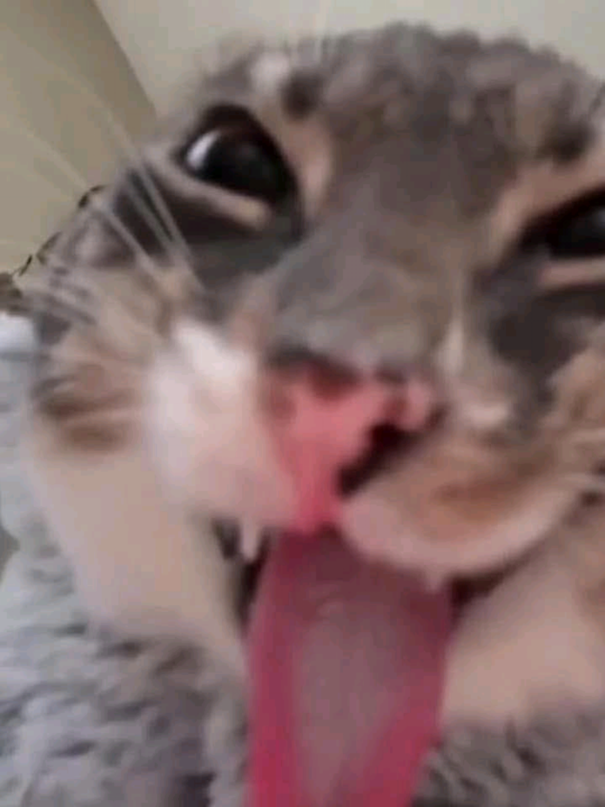 #CapCut #coduyengaplai#titok