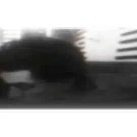 #الحزن_عنواني⏰🥀💔  #الحزن_الصامت  #اكسبلورexplore  #المصمم مهداوي #erbil 