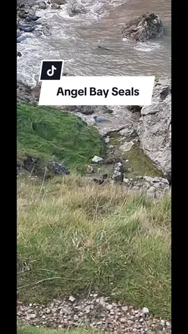 A cheeky trip to #angelbay in Llandudno. As a single mom I'm making it my mission to give my 3 girls experiences that they will always remember in shaa Allah because those toys will collect dust and not be remembered 👌