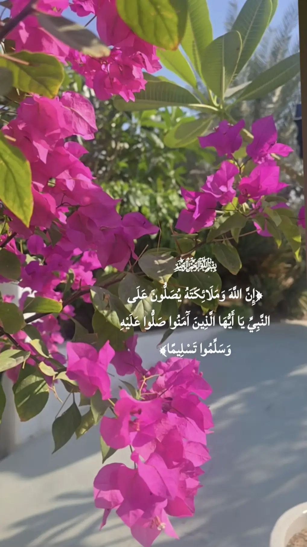 #🌹🌹🌹🤍🤍🤍🤍🌹🌹🌹 #لاحول ولا قوة إلا بالله #أستغفر_الله_العظيم_واتوب_إليه #صباحكم_معطر_بذكر_الله #مشاهدات40مليون 