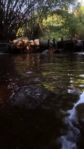 อย่าไปคิดอะไรมากกับชีวิต มีความสุขแบบไหนก็ทำแบบนั้น #เดวาราคาเฟ่บางพระชลบุรี#ยินดีรับเพื่อนใหม่จ้า♥️♥️ #อย่าปิดกั้นการมองเห็นนะครับ 