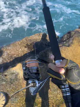 Berani tempil beda🤣 #daido #angler @DAIDO FISHING TEAM #