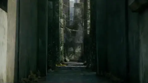 maze runner with this song. #mazerunner #lewatberanda #foryoupage #xybca 