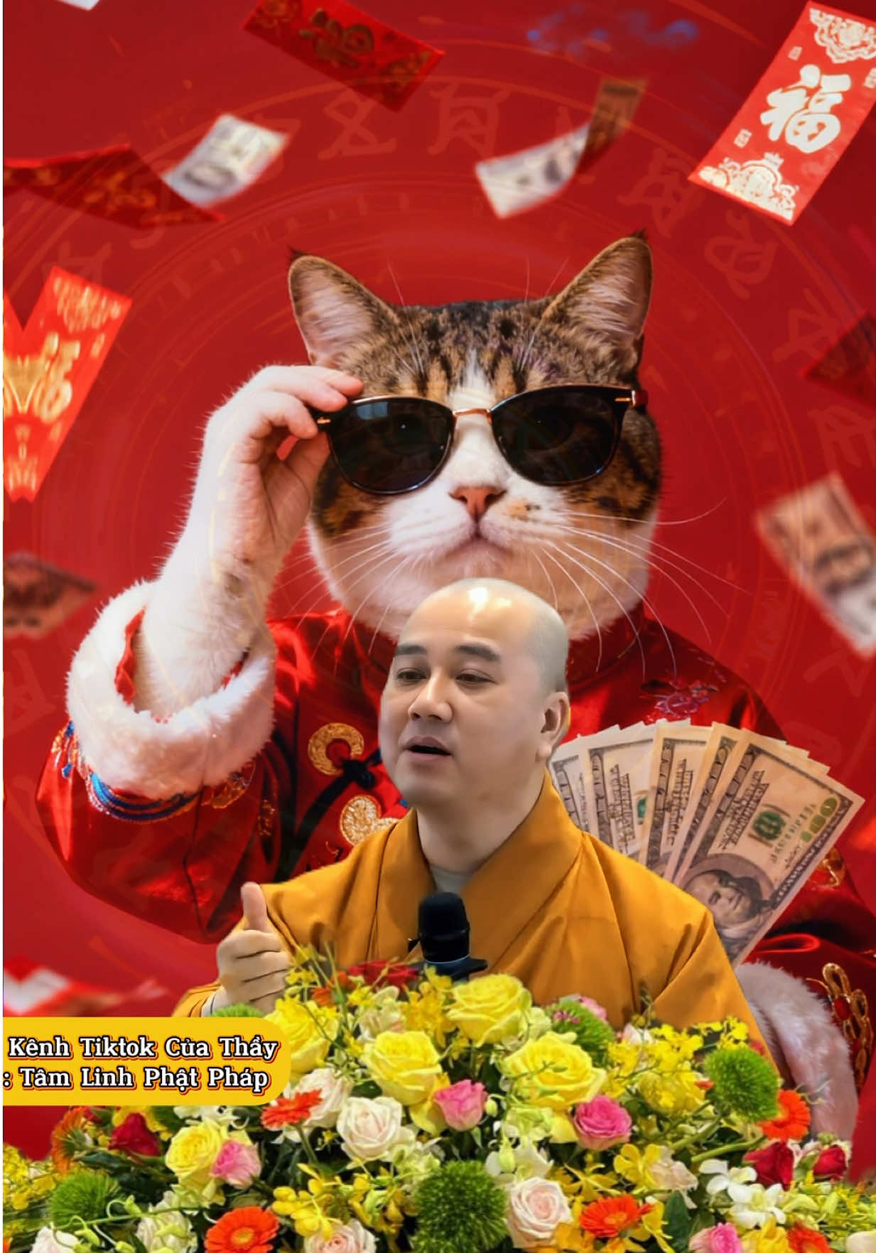 tuổi mão 2025 #tuoimao #tuvi12congiap #vongchusa #thekimbai #thichphaphoa 