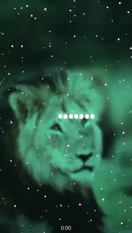 زامل  اداء المنشد/ حسين الطير  #زوامــــــل_من_العيارات_الثقيله #زوامــــــل_من_العيارات_الثقيله_2025 #ال_سماحو_👑 #حسين_الطير #اليمن🇾🇪 @ٵ̷ل̷ཊسماℱح̷ۆ̷𓄂 @ٵ̷ل̷ཊسماℱح̷ۆ̷𓄂 @ٵ̷ل̷ཊسماℱح̷ۆ̷𓄂 