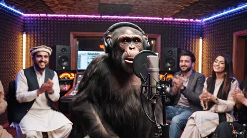 New Gulkhan Song 😁😀  #foryou #afghanistan #aipashto #funney #song 