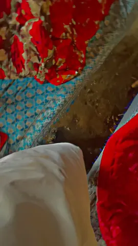 S I D H U 🎶#punjab0082 #tiktok #flyyyyyyyyyyyyy #trending #tiktokviral 