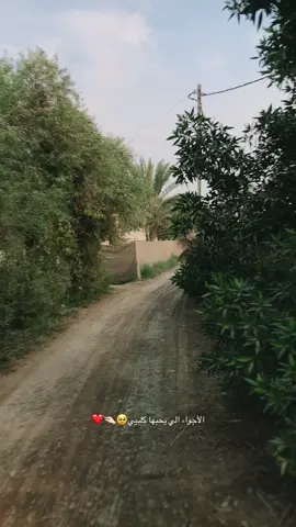 #الجمعه #هواجيس #بغداد_بصرة_موصل_الكويت_الخليج_دبي_ 