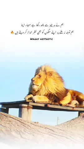 𝙝𝙖𝙖𝙣 𝙜 ✅#fyp #foryou #foryoupage #unfrezzmyaccount #attitude 