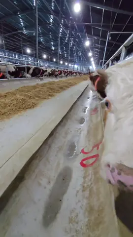 POV:Khi đứa bạn thân đợi mày đem đồ ăn tới