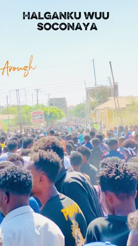 HALGANKU WA SOCONAYA AWDALEEY DAREN QAAD 