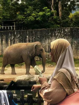 biarkan mak memasak🔥