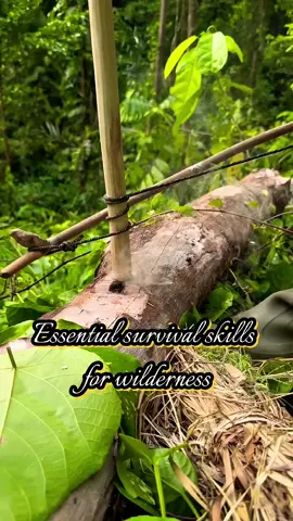 Dalem Gumino_Essential survival skills for wilderness #primitivefirelighting #bushcraft #survival 
