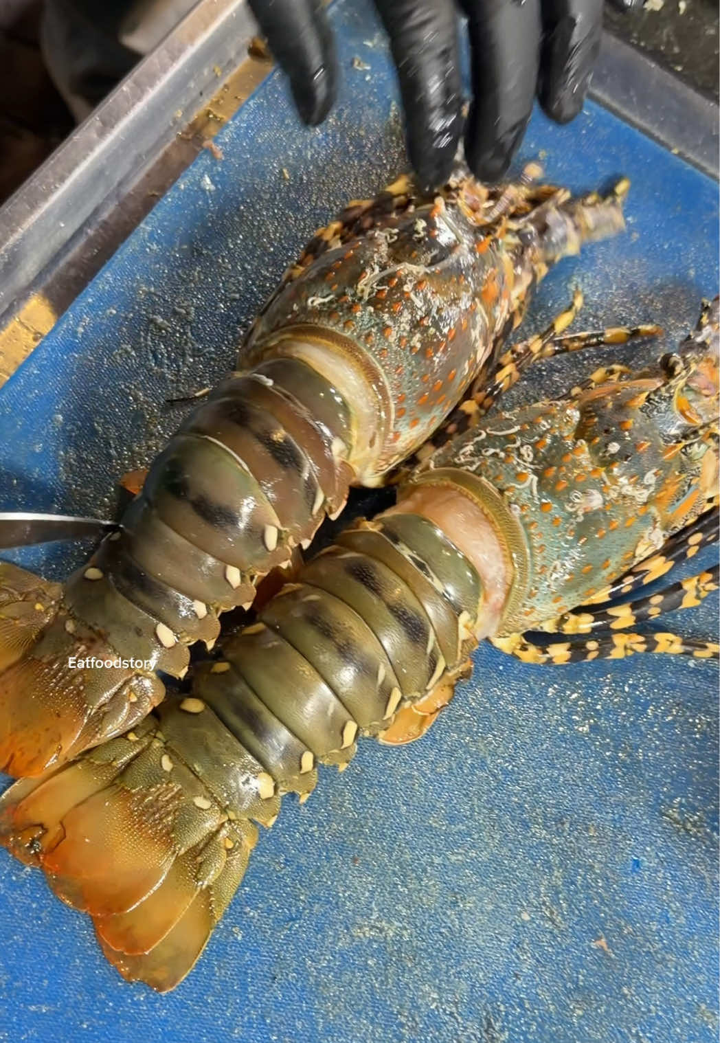 Lobster on the grill 📍FIKEAW YAO WARAT  SoiYaowarat11,Bangkok ,Thailand  #eatfoodstory  #food  #asmr  