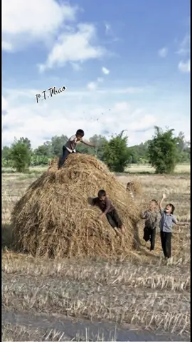 Nhớ mùi rơm, mùi khét nắng của bọn mình ngày xưa. #canhqueyenbinh #hoainiem #tuoithotoi #boconganh #foryou 