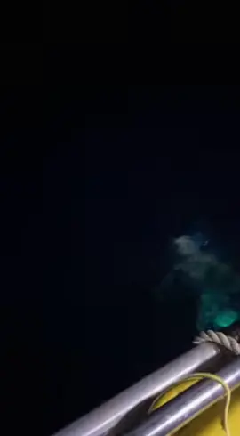 “Real or CGI? You decide.” 🌊👁️ #mermaid #nightsea #caughtoncamera #oceanmystery 