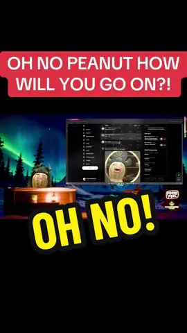 Peanut how will you go on after that one 🤣 got to love the clips they picked Bungulator! 😭 little do they know 🎬twitch.tv/theburntpeanut @theburntpeanut #theburntpeanutclip #theburntpeanut #theburntpeanutclips #fyp #peanut 
