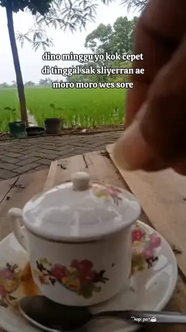 ojo lali ngopi bolo#kopi_pait☕ #salamsaturasa #kopi_mewah #bojonegoro_jawatimur #bojonegoro_24_jam 