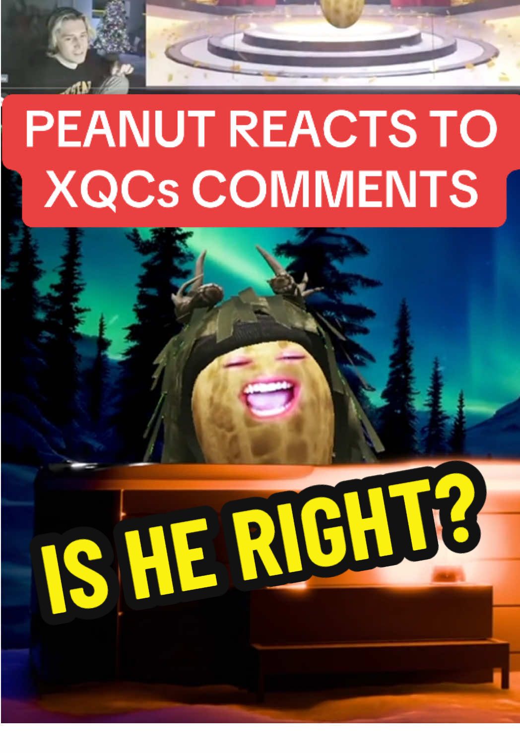 Peanut watches XQCs clip from the streamer awards 🤣 Bungulator you think he’s right tho?! I do 😭 🎬twitch.tv/theburntpeanut @theburntpeanut #theburntpeanutclip #theburntpeanut #theburntpeanutclips #fyp #peanut 