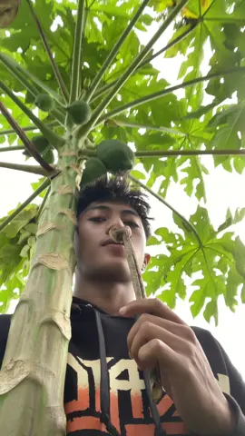 sak mene gak gonmu😭🤣