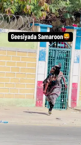 #borama #somalitiktok #xasuuq #awdal_borama @Samiir_Caraale @HABOON @SAMIA AHMED 