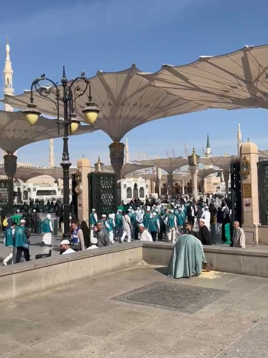 Madine Kay Kabotar  #trending #viral #foryou #unfreezemyacount #qudratullahqadri 