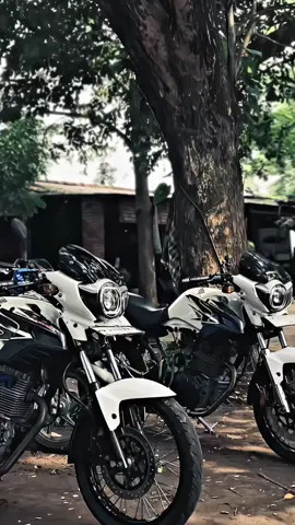 Seadanya😁😁#tigermodifikasi #tigerpece #tigergank #tigeralbino 