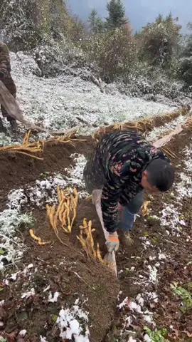 #foryou #fyp #foryoupage #viral #trending 