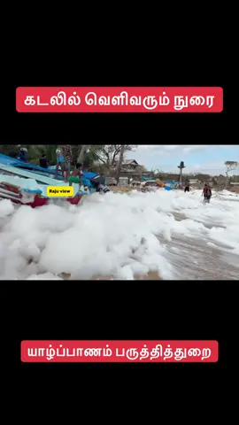 #நல்லூர் #jaffna #trending 