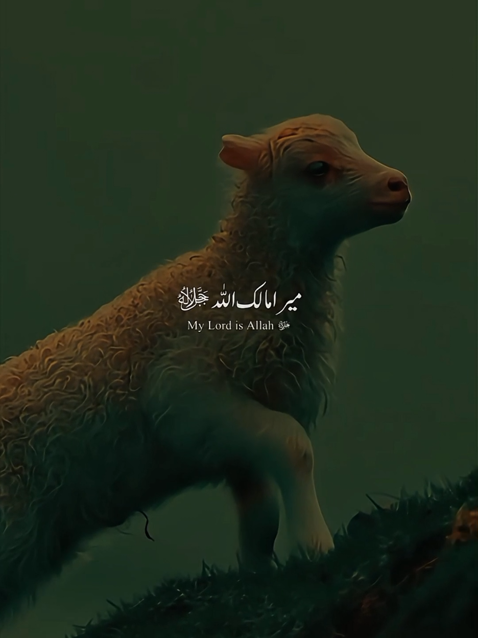 | Dr Israr Ahmed | Emotional Clip . . . . #drisrarahmed  #dr_israr_ahmed_lectures  #dr_israr_ahmed  #drisrarahmedsahab #ummatti      