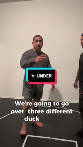 🦆🦆🦆 @flyinlion_ 